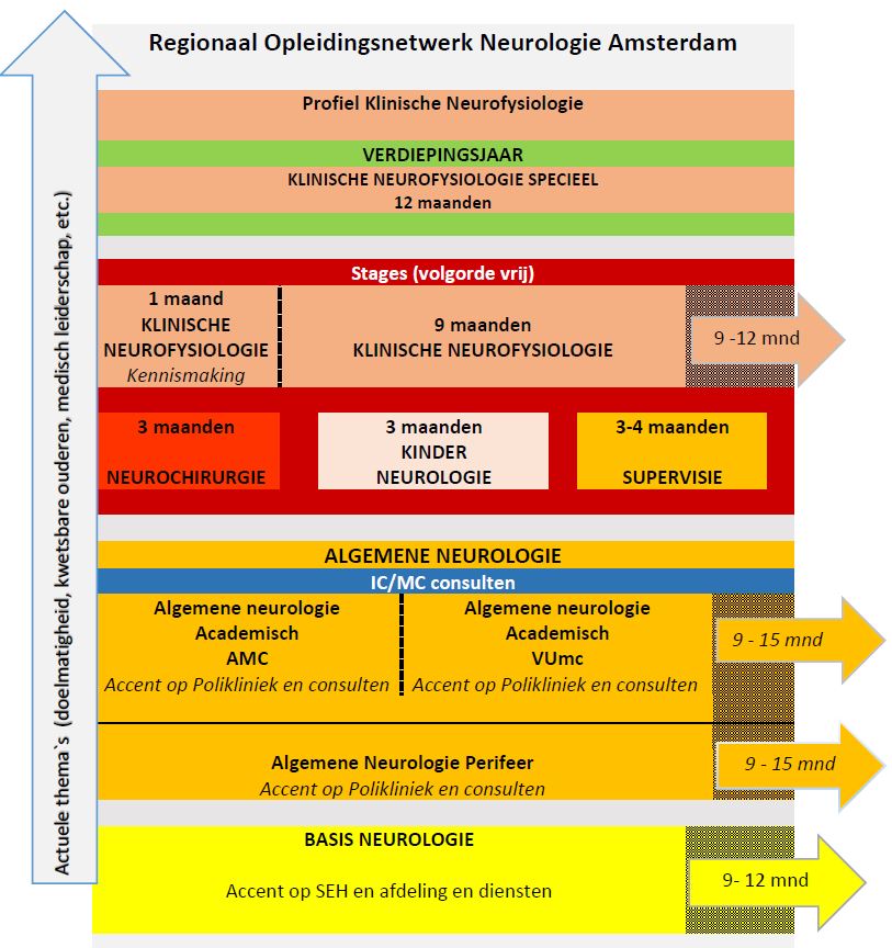 Profiel Klinische Neurofysiologie